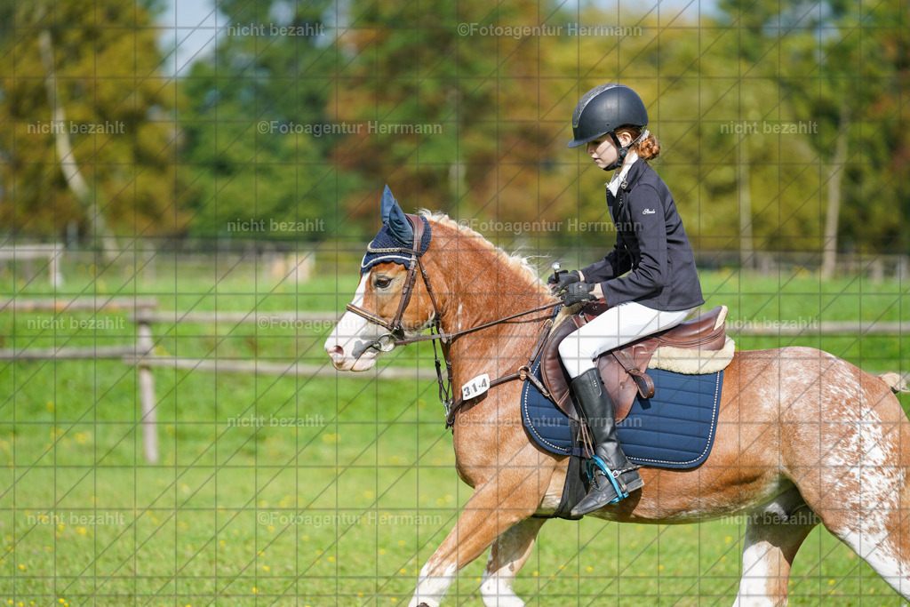 20230917-FAH09229 | Landsberg am Lech, 2023, Kaufbeuren, Kempten, Allgäu, Turnierfotografen Bayern, Fotoagentur Herrmann, Turnierbilder, Reitsport Fotos, Pferdefotograf, Augsburg, Bad Tölz, Dachau, Karlsfeld, Memmingen, Buchloe, Schwabmünchen