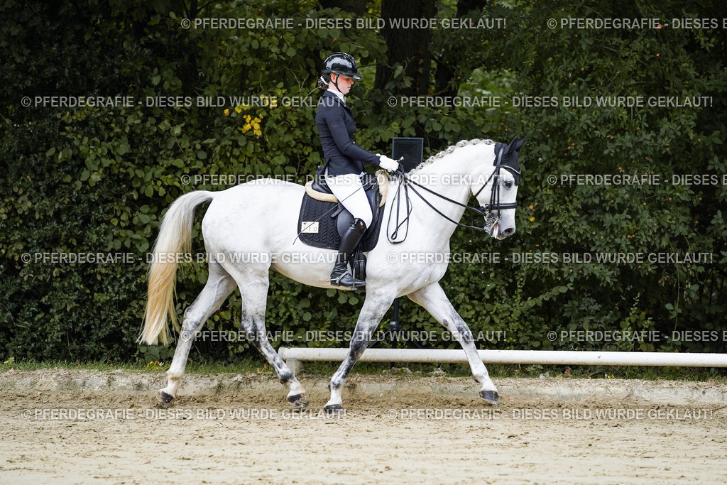 DSC08450 | Pferdegrafie