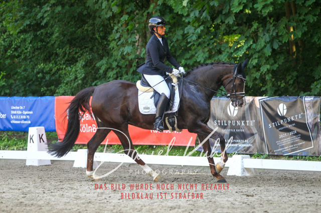 DKP42686 | Turniersportfotografie; Pferdefotografie; Dressurfotografie