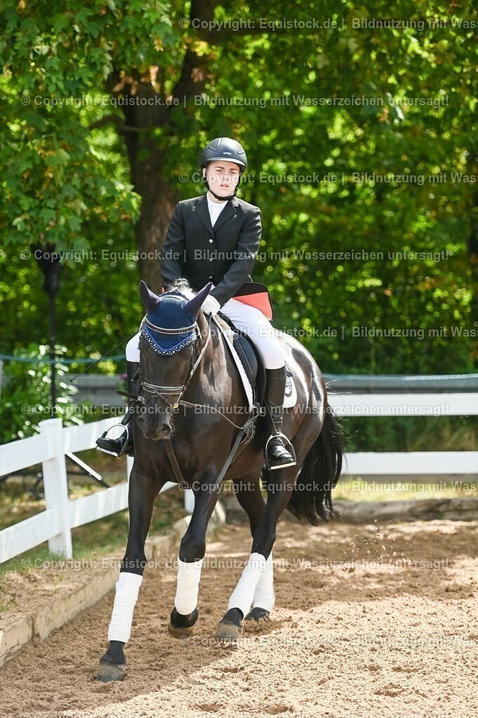 20230716_10-1_Reiter-WB Schritt - Trab - Galopp_0148 | equistock