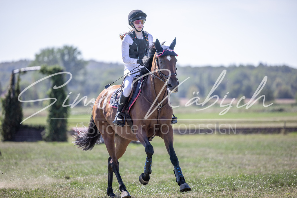 20260906-_3LI3207 | Tierfotografie Pferde, Hunde, Katzen, Haustiere.
Turnierfotografie Reitturniere, Reiten, Springreiten, Dressur in Hanau, dem Main-Kinzig-Kreis und dem Rhein-Main- Gebiet um Frankfurt