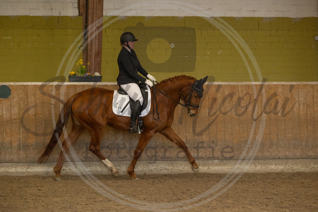 994A9368 | sabrinanicolaifotografie - Realisiert mit Pictrs.com