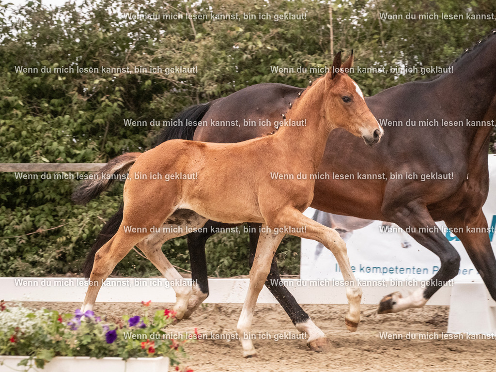 A10I6261 | photographylinaismer - Realisiert mit Pictrs.com