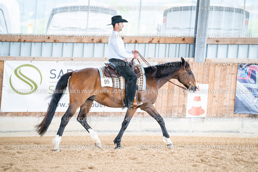 DSC02078 | Pferdegrafie