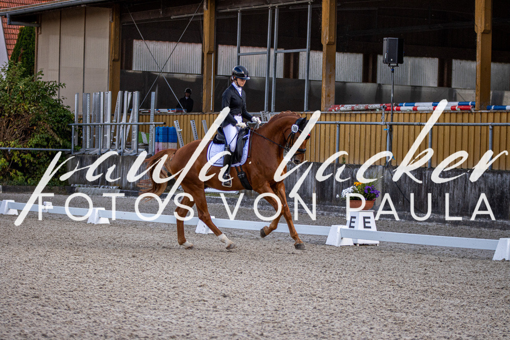 IMG_4162 | Erleben Sie dynamische Sport- und emotionale Tierfotografie in Süddeutschland mit Fotos von Paula. Spezialisiert auf Pferde- und Hundefotografie sowie Sportevents. Kontaktieren Sie mich für einzigartige und ausdrucksstarke Bilder Ihrer besonderen Momente. - Realisiert mit Pictrs.com