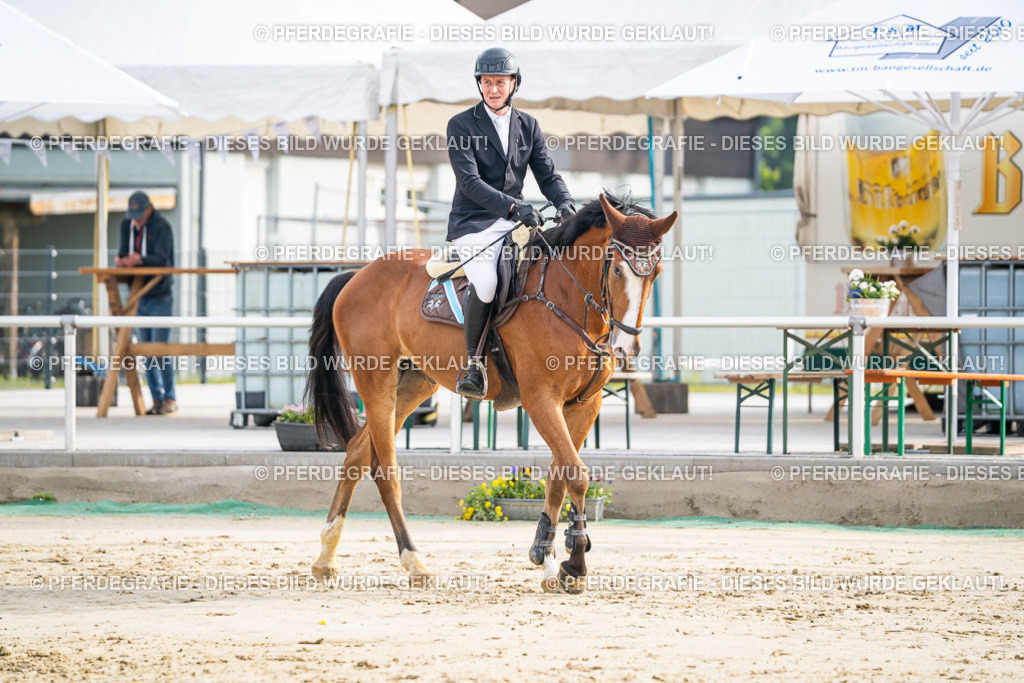 DSC09077 | Pferdegrafie