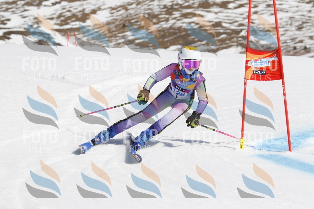 _U3G0806 | holidayphoto