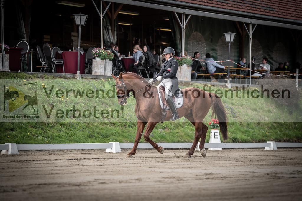 DSC_1510 | equestrian-live-com