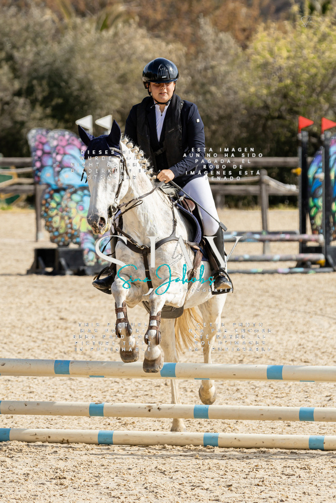 IMG_4263 | s-jay-photography - Realisiert mit Pictrs.com