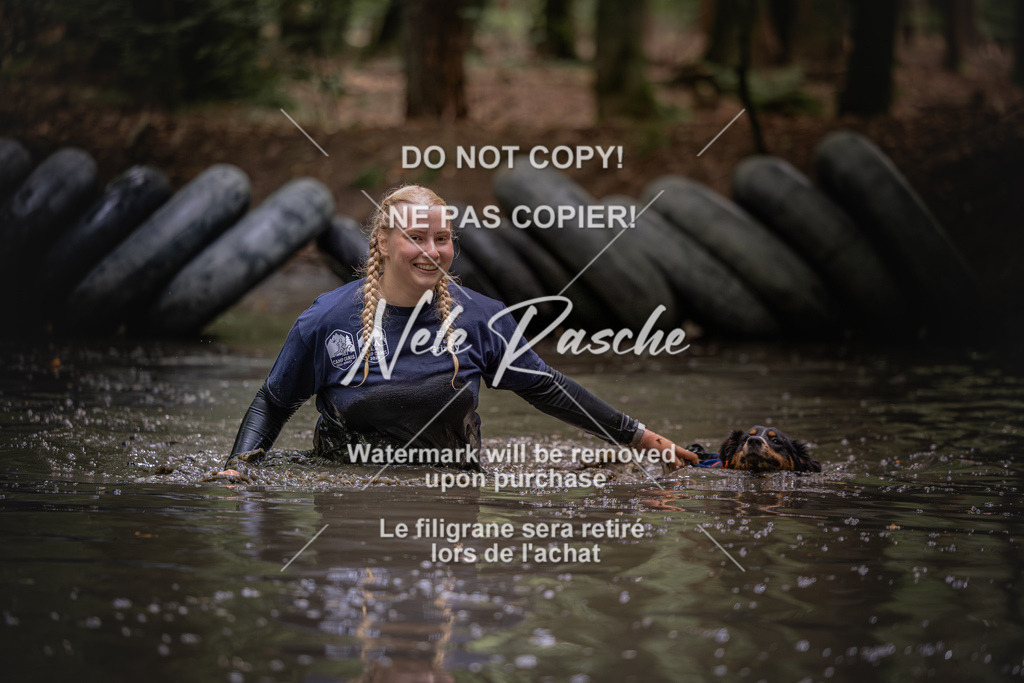 nelerasche_SaWingst1400-1500_216 | nelerasche