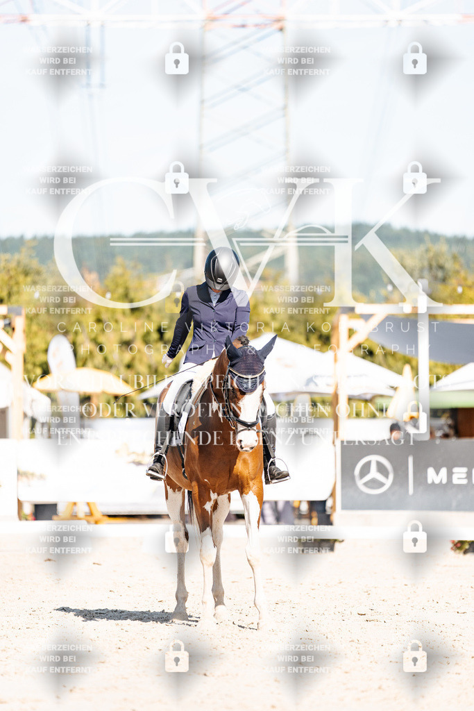 CK908210 | Turnierfotografie Pferdefotografie Trier Rheinland-Pfalz Pferdesport Reitsport Tierfotografie Sportfotografie Pferdevideo Pferdevideografie Equestrianvideography equestrianphotography  - Realisiert mit Pictrs.com