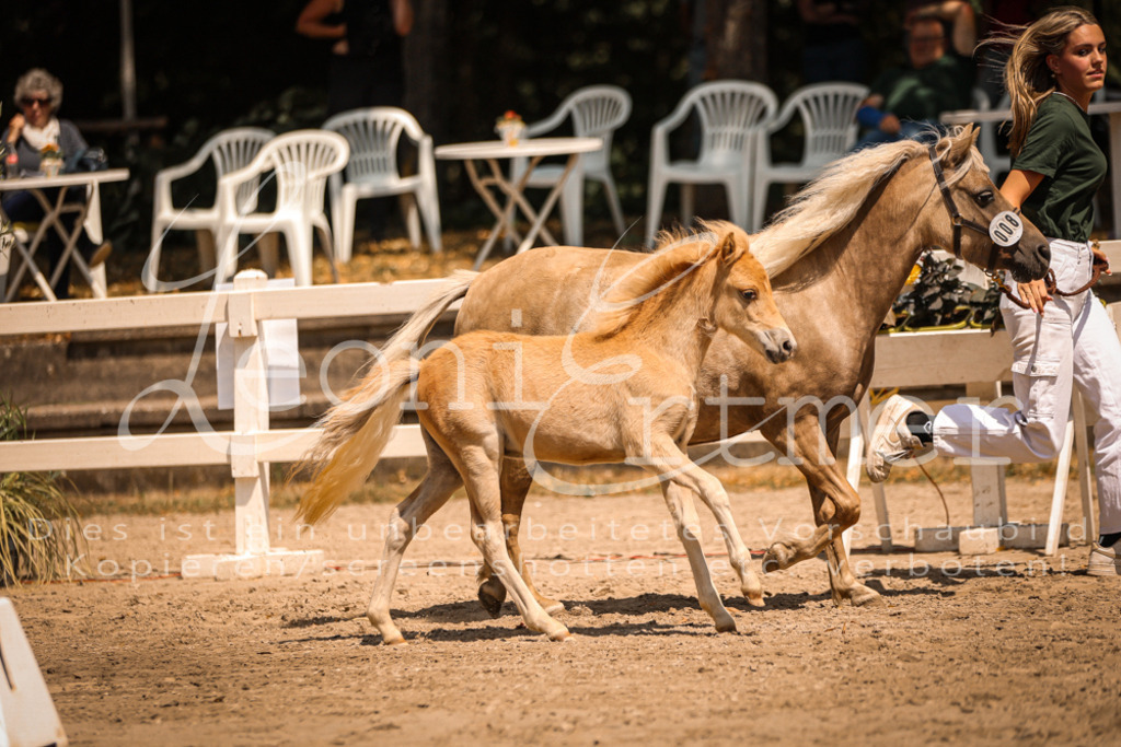 02.DoSR00033 | Leoni Ertmer Photography - Realisiert mit Pictrs.com