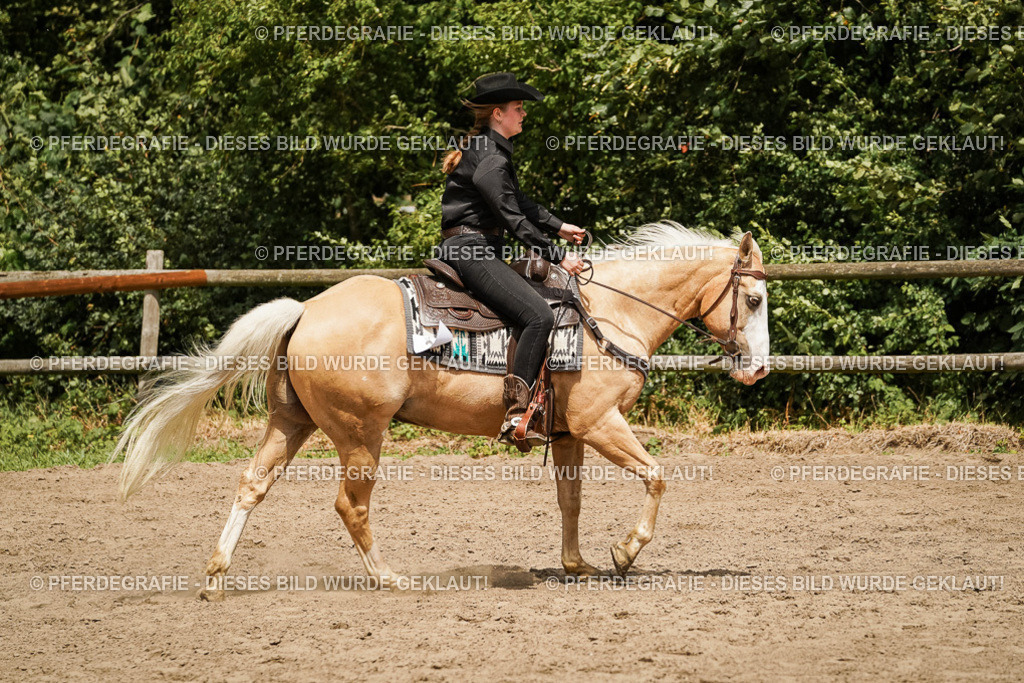 DSC09868 | Pferdegrafie