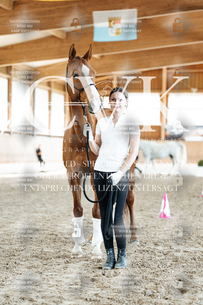 CK907689 | Turnierfotografie Pferdefotografie Trier Rheinland-Pfalz Pferdesport Reitsport Tierfotografie Sportfotografie Pferdevideo Pferdevideografie Equestrianvideography equestrianphotography  - Realisiert mit Pictrs.com
