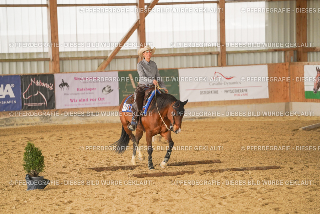 DSC02132 | Pferdegrafie