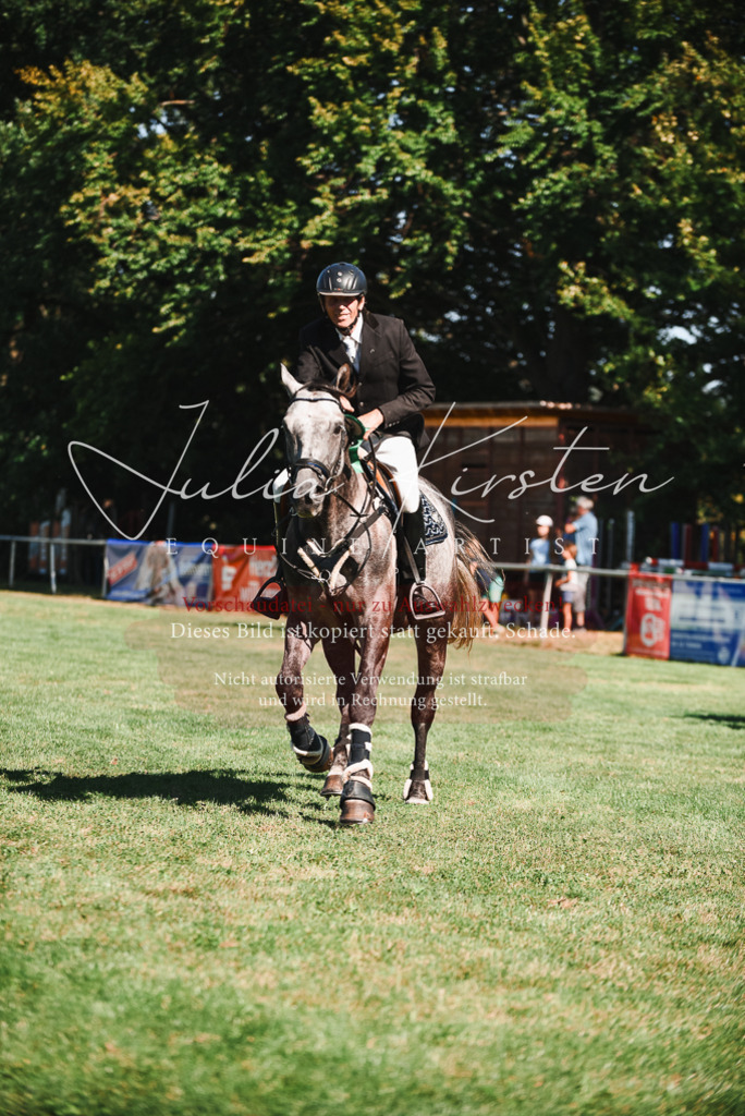 DSC_2650 | Pferde- und Turnierfotografie in Westsachsen. Pferdeportraits, Auftragszeichnungen und intuitive Kunst.