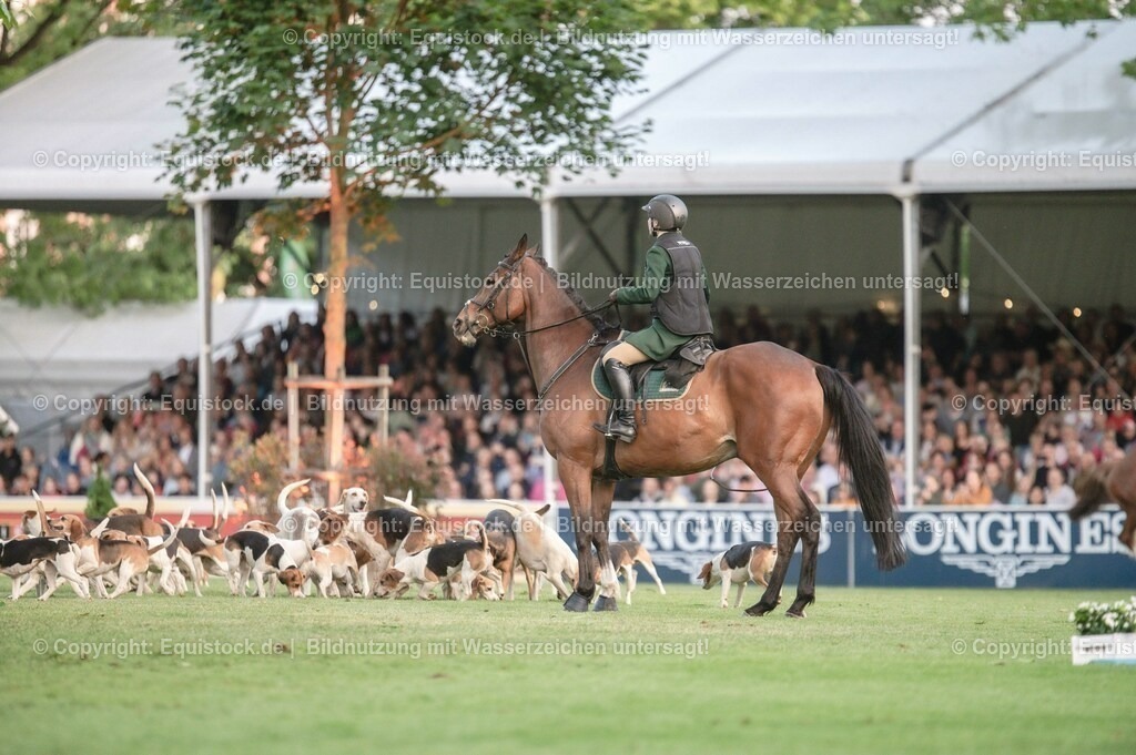 20230526_Pferdenacht_0543 | equistock
