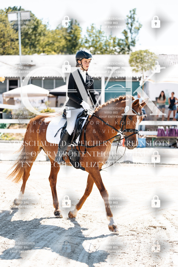 CK902242 | Turnierfotografie Pferdefotografie Trier Rheinland-Pfalz Pferdesport Reitsport Tierfotografie Sportfotografie Pferdevideo Pferdevideografie Equestrianvideography equestrianphotography  - Realisiert mit Pictrs.com