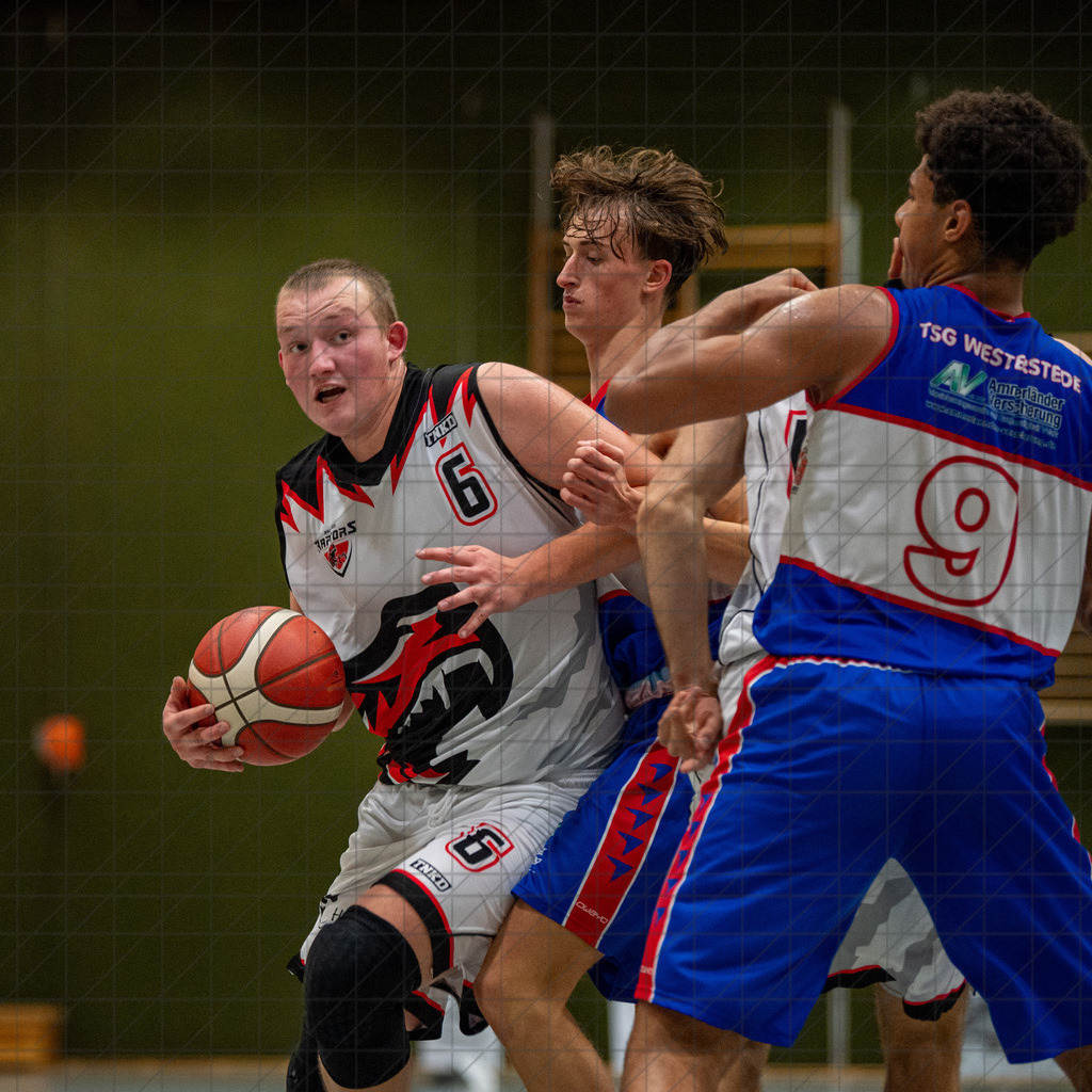 2. RL West | 05.10.2024 | Bad Essen vs. TSG Westerstede 2 | 2. RL West | 05.10.2024 | Bad Essen vs. TSG Westerstede 2 - - - - - CREDIT, www.bullenfotos.de, Martin König, Hörner Weg 40, D-49078 Osnabrück, +4917663732967, Nutzung und Weitergabe nur zu den vereinbarten Zwecken. Presseanfragen an Ersteller. Alle Rechte beim Ersteller. - - - - - - Realisiert mit Pictrs.com