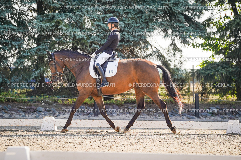 DSC09386 | Pferdegrafie