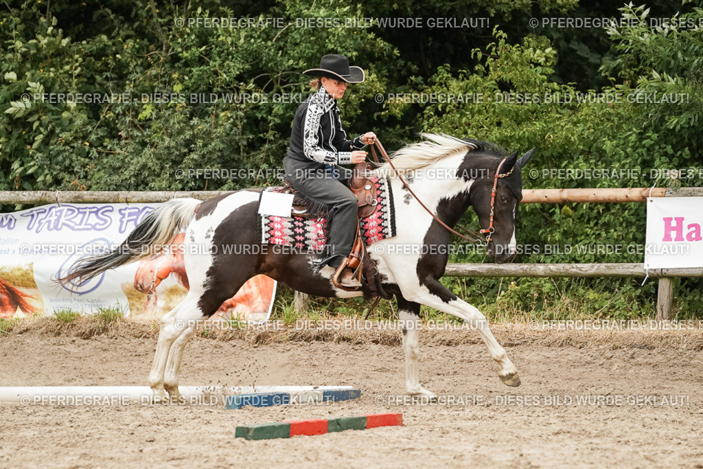 DSC08425 | Pferdegrafie