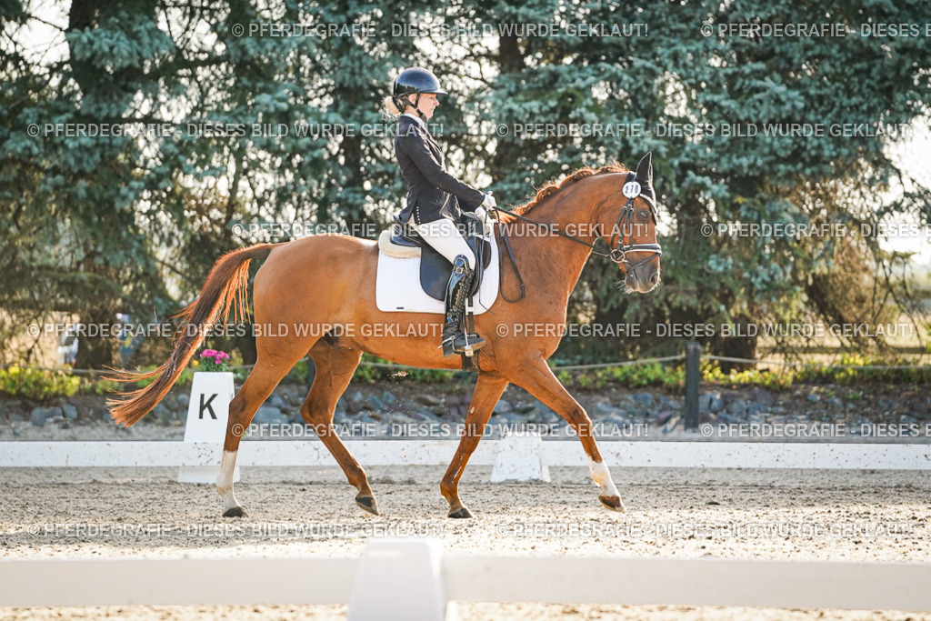 DSC07977 | Pferdegrafie