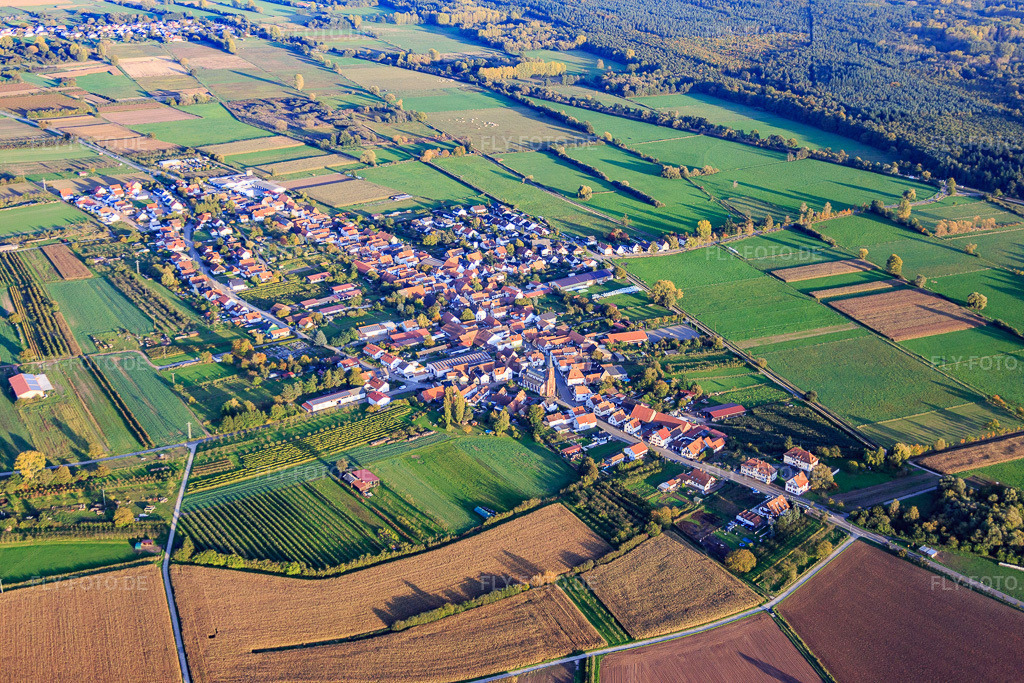 Luftbild: Dorfübersicht zwischen herbstlichen Feldern und Wiesen mit Kirche St. Laurentius von Nordwesten in Schweighofen im Bundesland Rheinland-Pfalz in Deutschland. Foto: IMG_074680.jpg vom 14.10.2014 durch Werner Riehm/FLY-FOTO.dePfarrei Heilige Edith Stein Bad Bergzabern