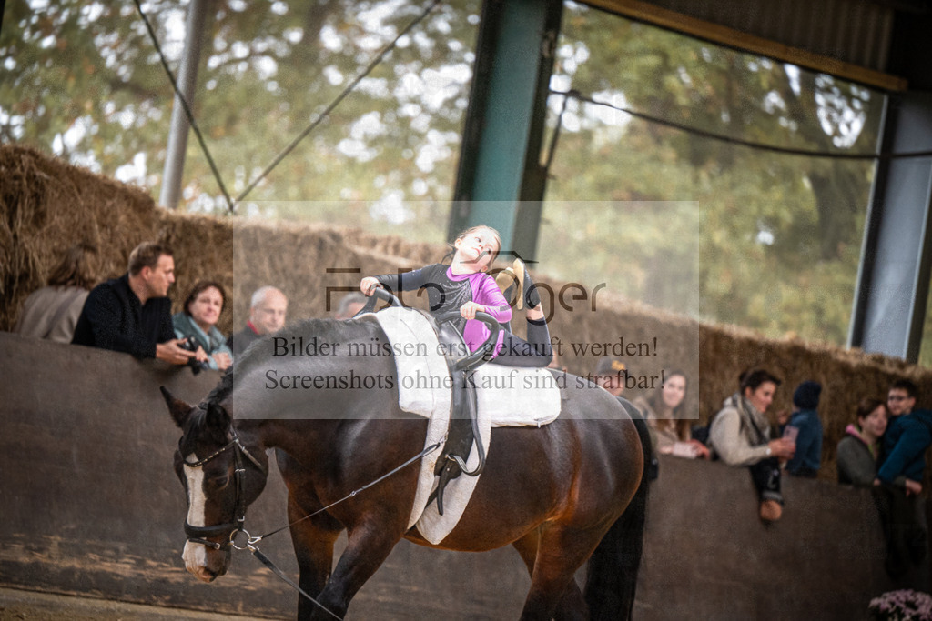 DOS_0180 | Entdecke hochwertige Reitturnierfotos von Foto Oger. Professionell, emotional und authentisch – jetzt Lieblingsmomente im Shop bestellen.Deutschlandweite Turnierfotografie. - Realisiert mit Pictrs.com