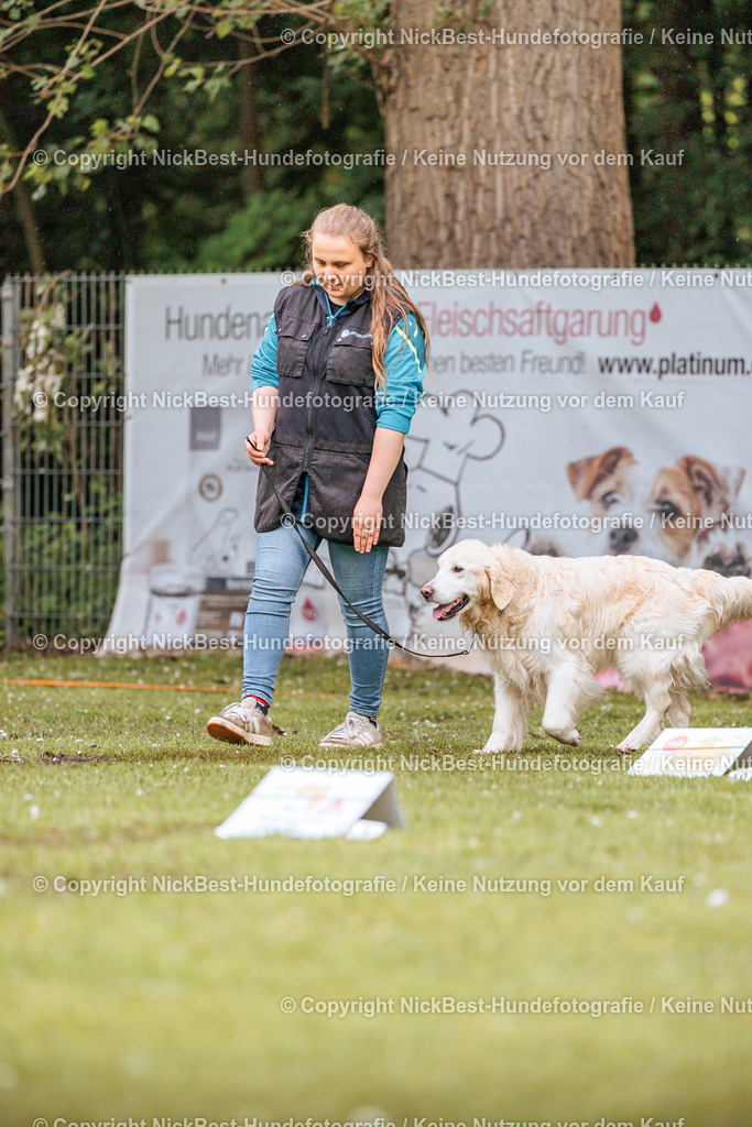 RO-Blumenthal-2026-Nickbest-Hundefotografie-0561 | Dein Hund! Dein Moment! Deine Erinnerungen! Hundefotografie in Bremen Blumenthal. Ich fange die besonderen Momente deines Vierbeiners ein – ob Indoor mit Blitzanlage oder in der freien Natur. Sicher dir dein Moment und dein Termin für eure Erinnerungen.