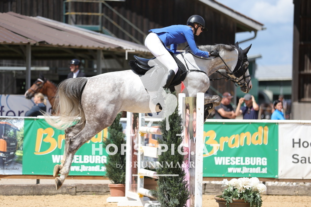 0P6A4237 | Willkommen bei Brunnmayr - Design & Fotografie – Ihrem Spezialisten für Reitturniere und Pferdeveranstaltungen in Oberösterreich, Salzburg und Bayern! Seit über 17 Jahren sind wir leidenschaftlich dabei.