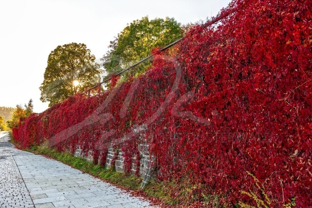 NatureArt-REDCOLOURWALL_5286 | Die lange rote Mauer | #001 | Modell: Christina | Foto: Alexander Große-Strangmann - Realisiert mit Pictrs.com