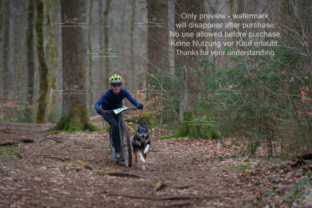 Scooter_So-19 | stephaniefillaphotographie - Realisiert mit Pictrs.com