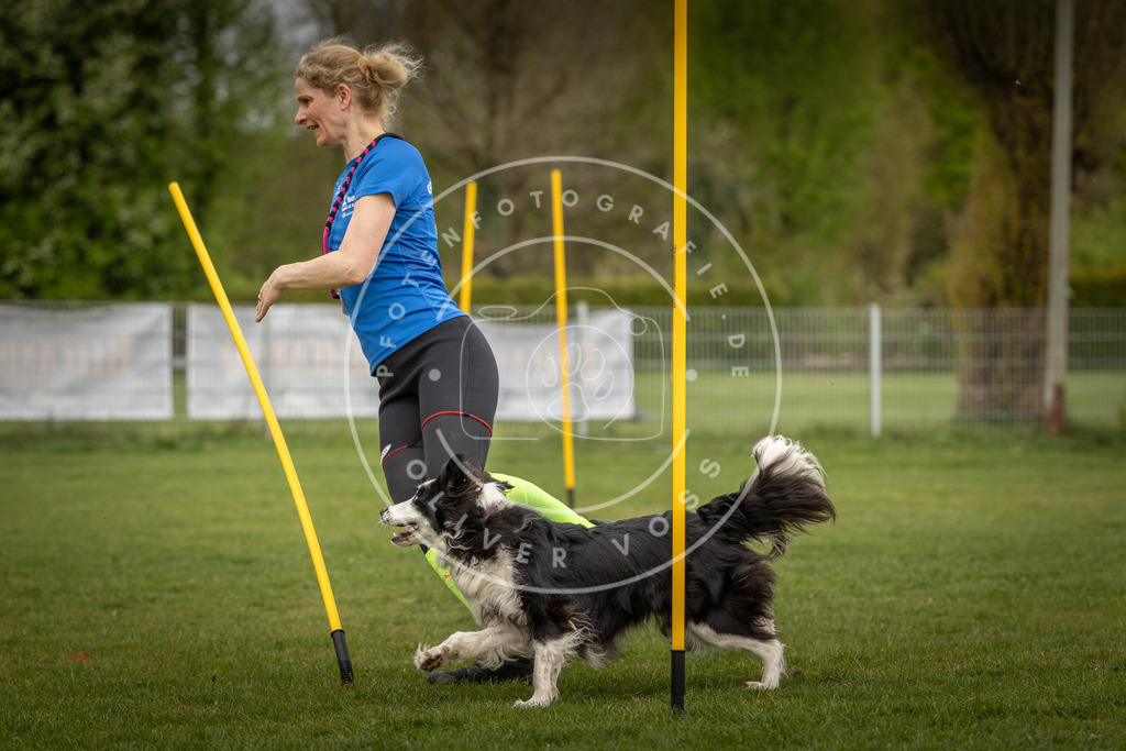 Pfotenfotografie_DV3A7352 | Hundefotografie, Tierfotograf, Pfotenfotografie, Fotoshooting Hund, Hunde Portrait, Hundesport, Hundeportraits, Heideshooting, Hunde, Sportfotograf, Hundefotograf, Turnierhundsport, THS,  - Realisiert mit Pictrs.com