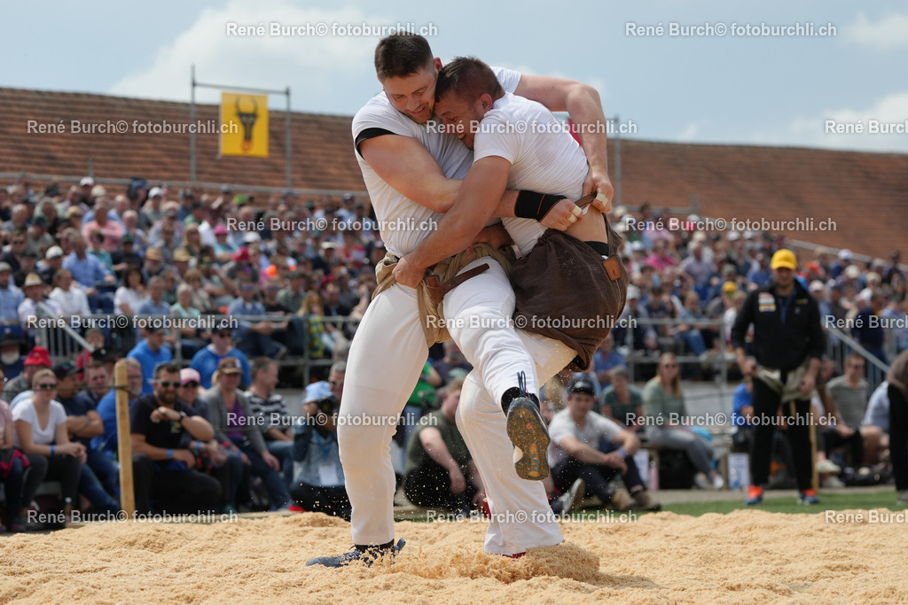 RB_06930 | René Burch leidenschaftlicher Fotograf aus Kerns in Obwalden.  Hier finden sie Sport, Landschaft und Natur Fotografie.
 - Realisiert mit Pictrs.com