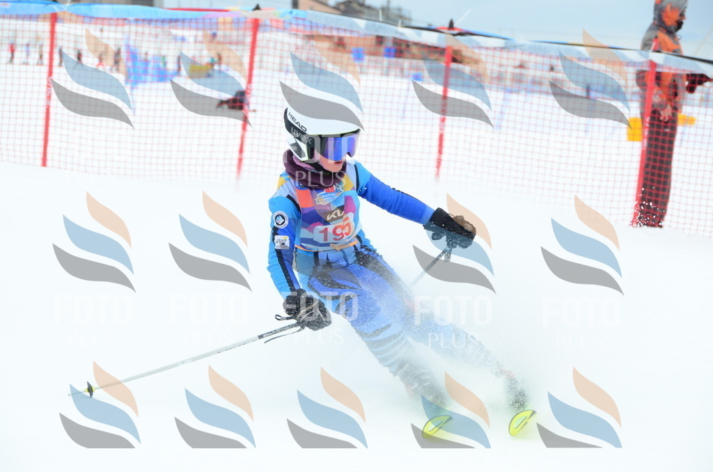 DSC_1799 | holidayphoto