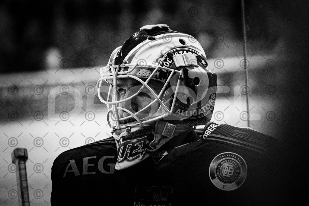 Alligators_vs_Riessersee_03_02_2026-33 | Höchstadt Alligators Fotogalerie: Eishockey-Action aus Franken. Professionelle Spielfotos, Portraits & Stadionbilder zum Download. Jetzt entdecken! - Realisiert mit Pictrs.com