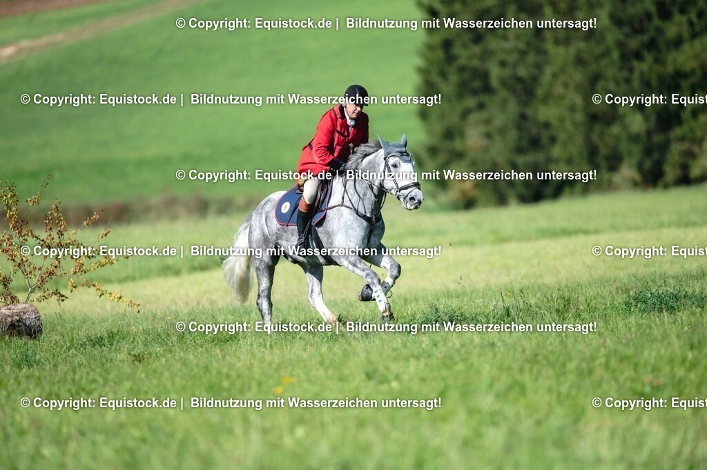 20251011_Jagd-Marbach_0224 | Foto: Thomas Hartig