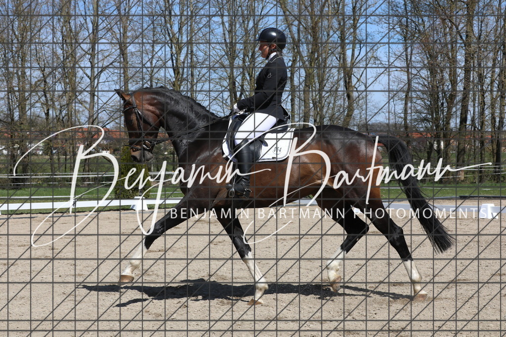 AZ2A4125 | Benjamin Bartmann Photomoments