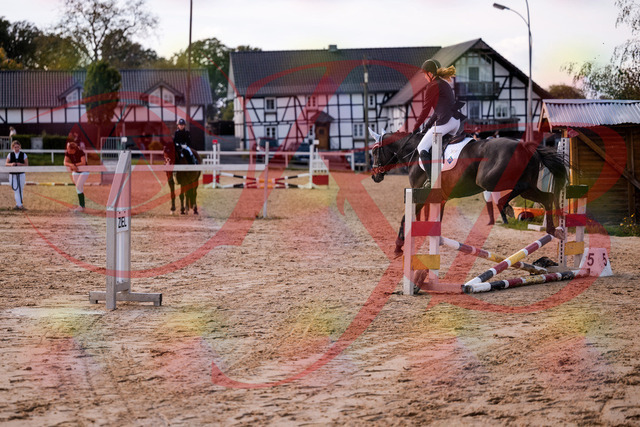 2026_10_03_Siefer-Hof_145939_Z81_42096286 | Professionelle Reitsport-, Turnier- und Eventfotografie von Robert Broda. Galerien mit ausgewählten und bearbeiteten Bildern direkt online ansehen und bestellen.