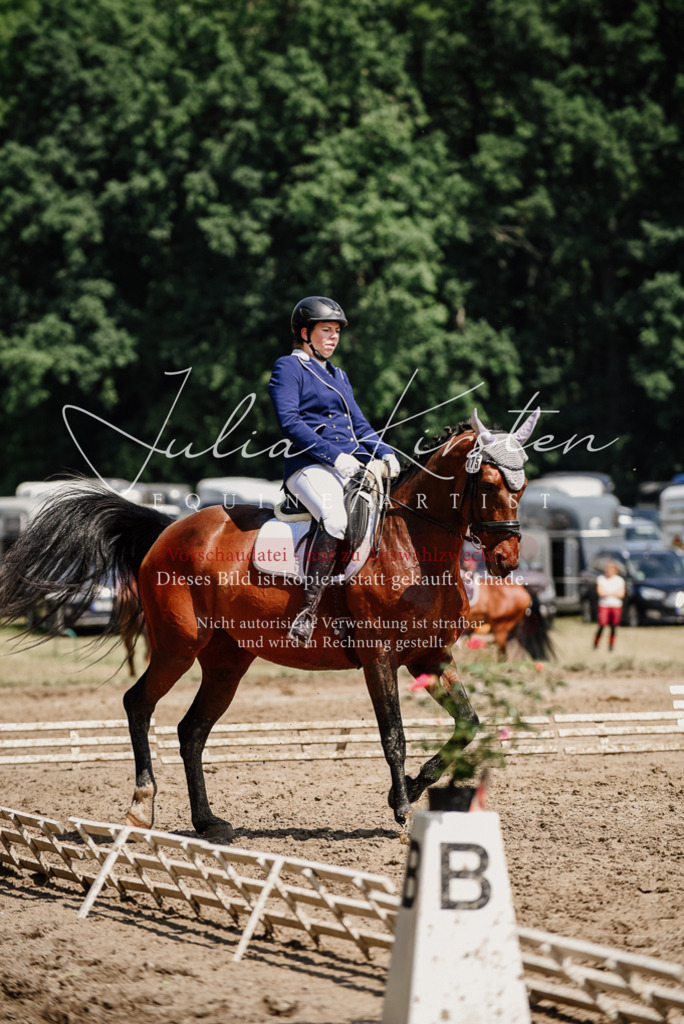DSC_1216 | Pferde- und Turnierfotografie in Westsachsen. Pferdeportraits, Auftragszeichnungen und intuitive Kunst.