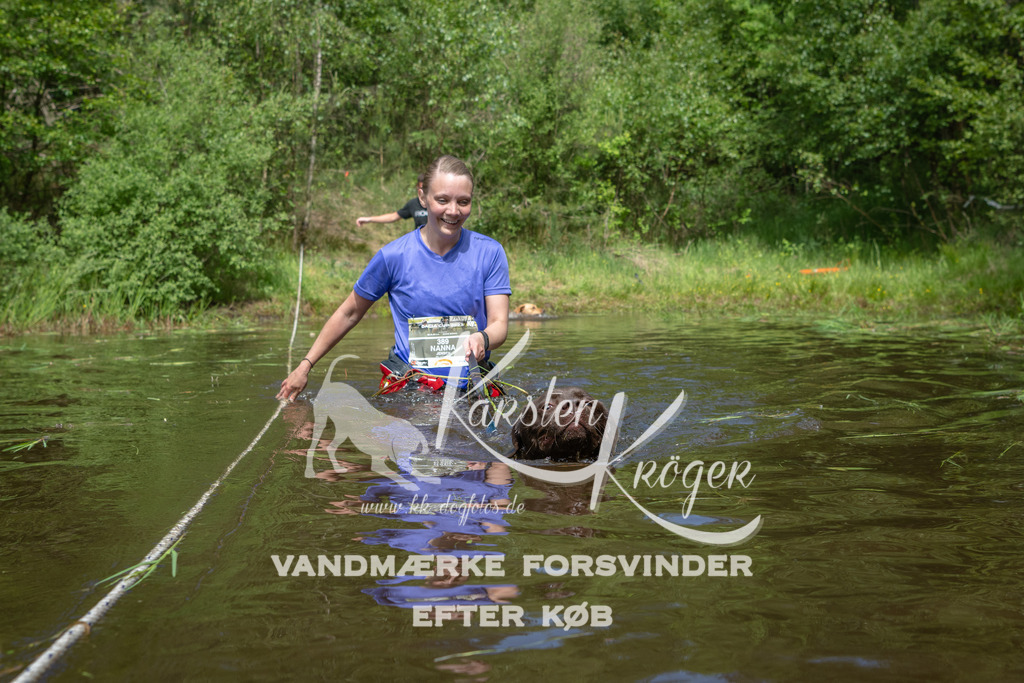 1127DKK990323 | kk-dogfotos