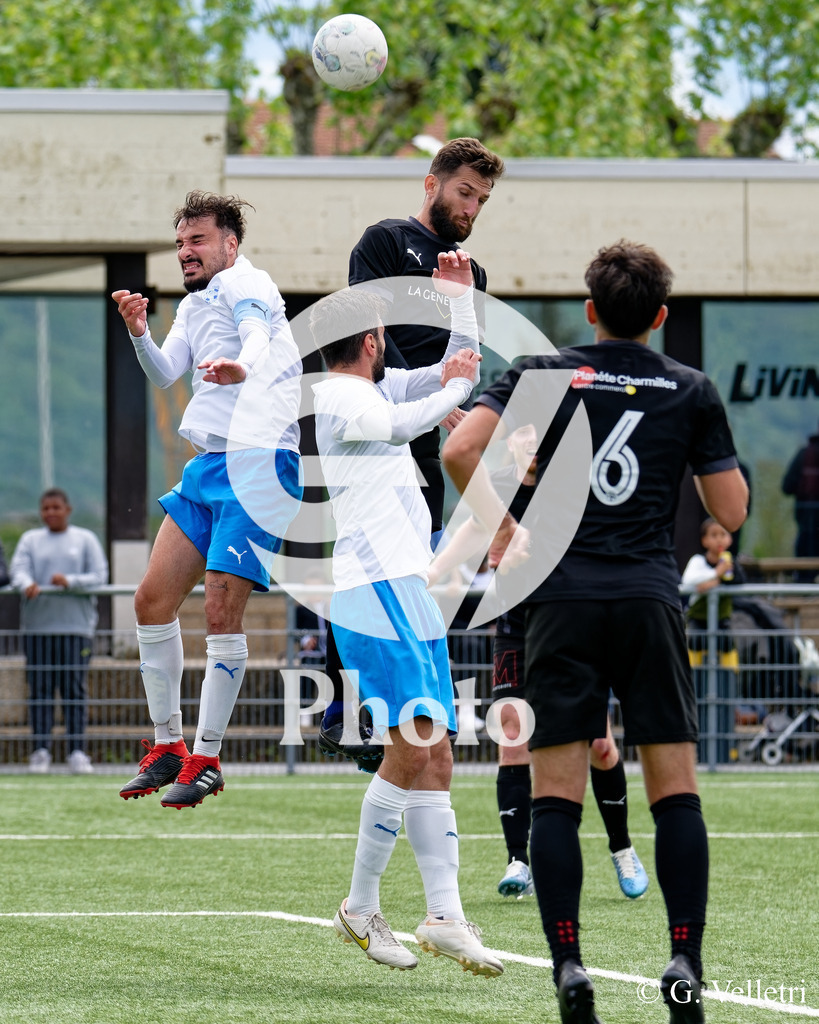 DSC_3844 | Velletri Photo