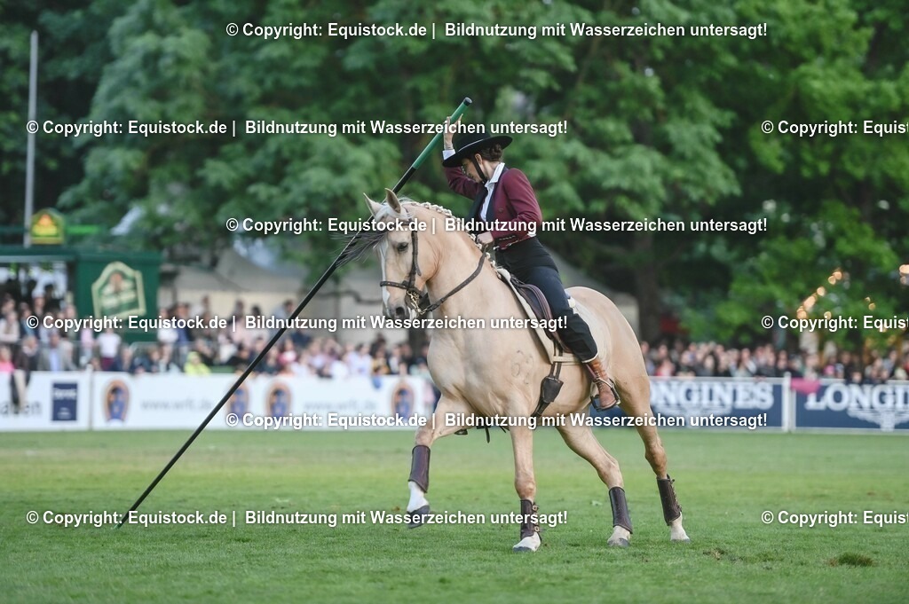 20230526_Pferdenacht_0688 | equistock