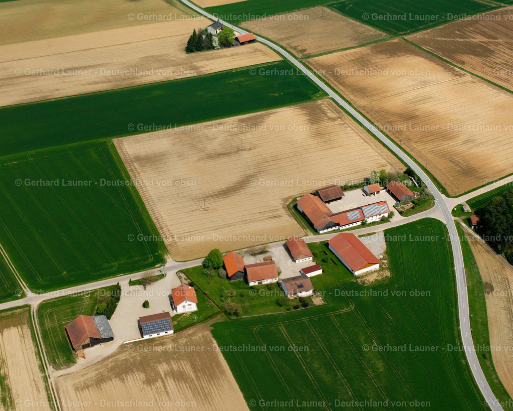 2519036 | Frauenholz, Leiblfing