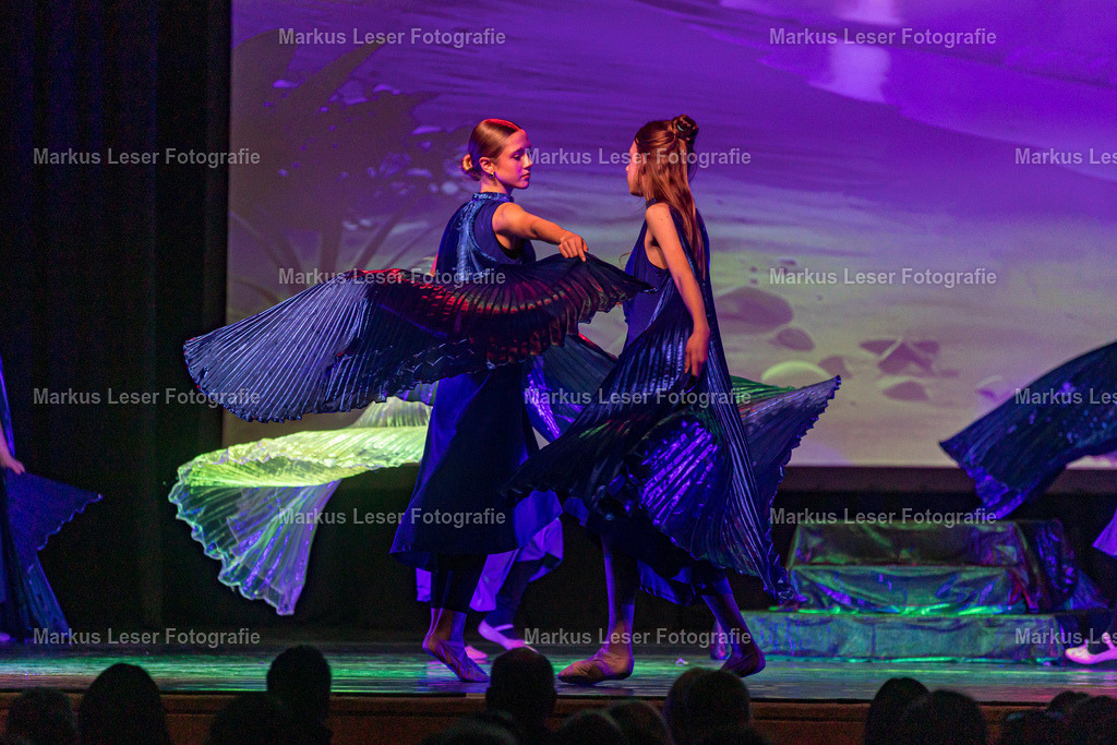 mlBallettSaNachm-7637 | Markus Leser Fotografie - Realisiert mit Pictrs.com