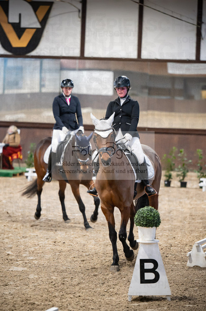 Hallenreittunier Voxtrup 2023 | Entdecke hochwertige Reitturnierfotos von Foto Oger. Professionell, emotional und authentisch – jetzt Lieblingsmomente im Shop bestellen.Deutschlandweite Turnierfotografie. - Realisiert mit Pictrs.com
