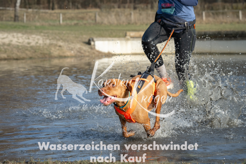 1531_ZZ91937 | kk-dogfotos