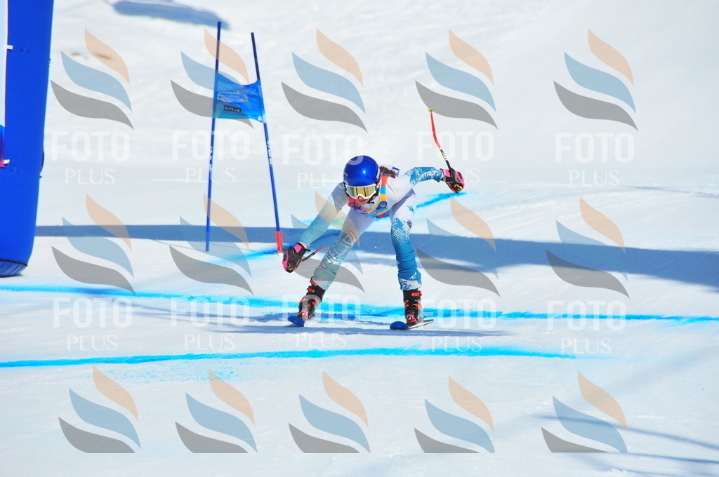 DSC_4293 | holidayphoto