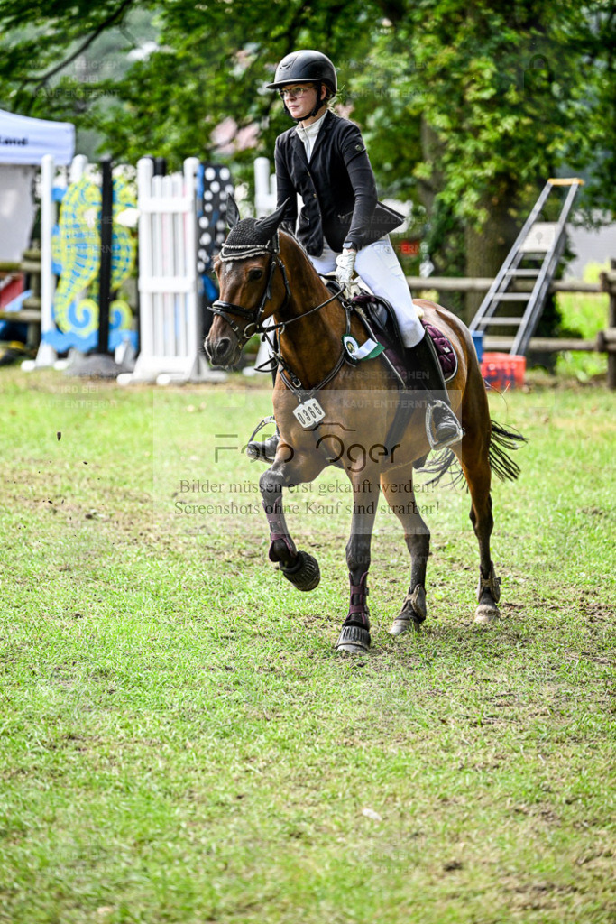 Bissendorfer Reitertage | Entdecke hochwertige Reitturnierfotos von Foto Oger. Professionell, emotional und authentisch – jetzt Lieblingsmomente im Shop bestellen. - Realisiert mit Pictrs.com