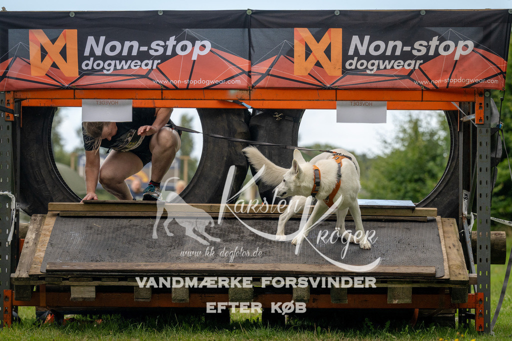 1036_ZZ91432 | kk-dogfotos